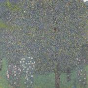 Gustav Klimt Rose Bushes Under the Trees (mk20) oil on canvas